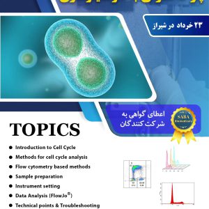 چرخه سلولی و فلوسایتومتری