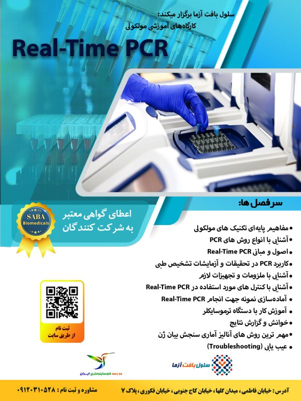 PCR