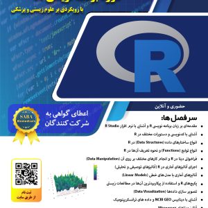 R studio