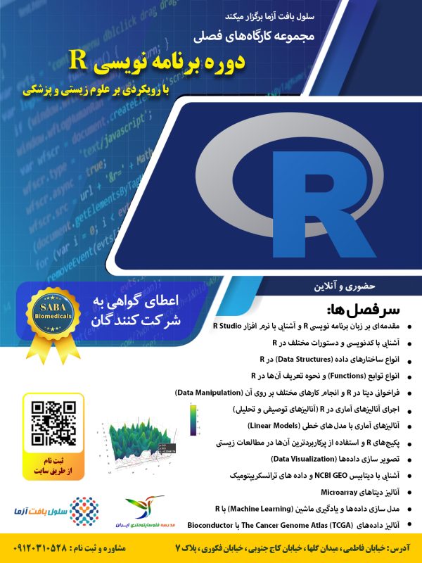 R studio